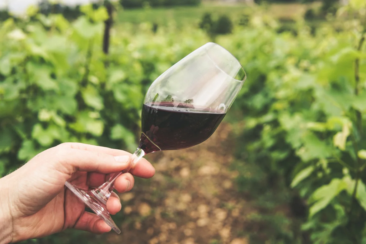 Een glas rode Georgische wijn