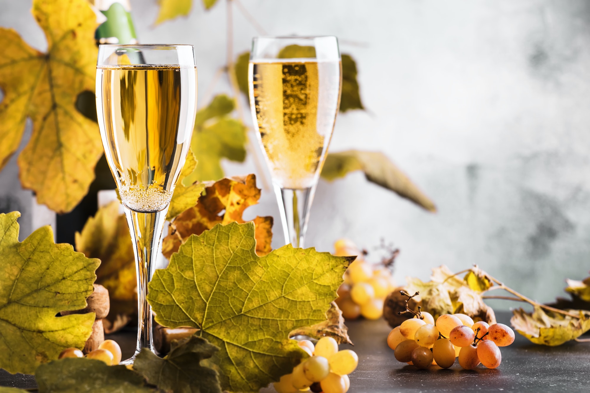 Champagne, brut or sparkling wine in glass