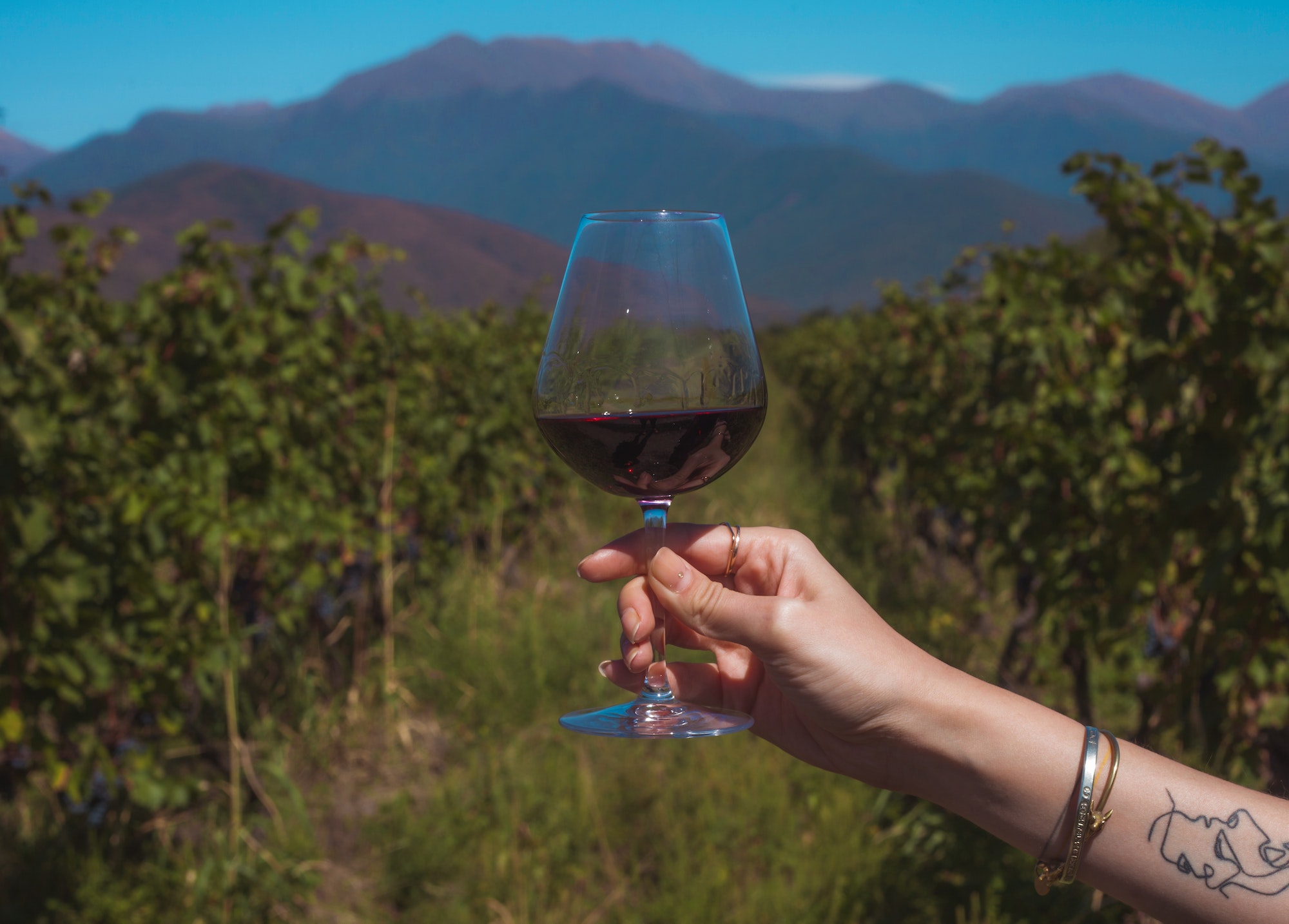 female hand with tattoos holds a glass of wine against the background of vineyards