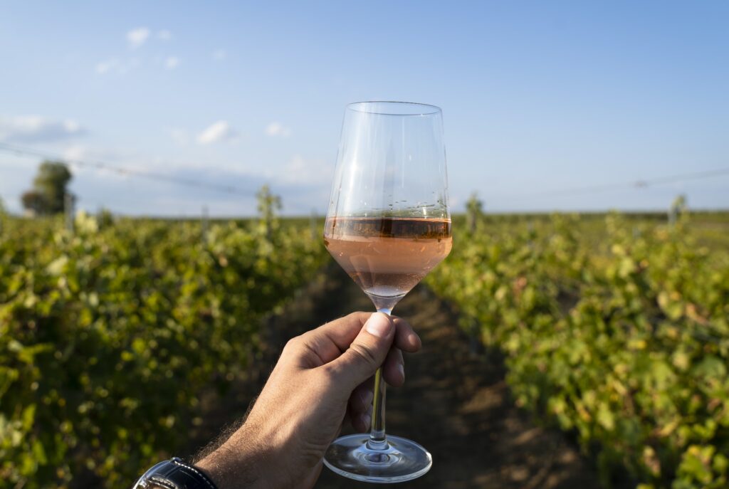 hand holding a glass of rose wine in front of vineyard